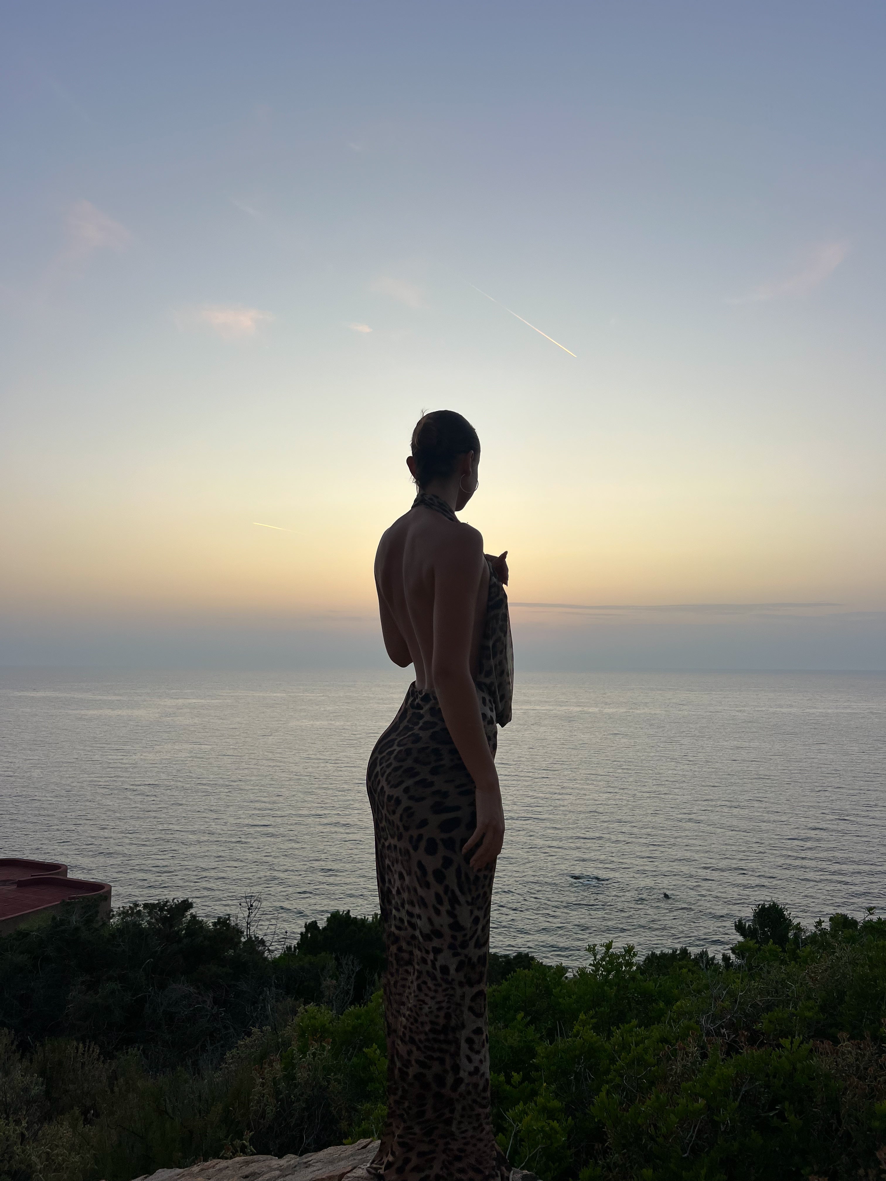 Columbine maxi dress