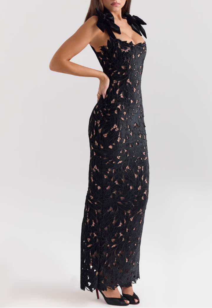Tiff Samt-Spitzen-Maxi Dress